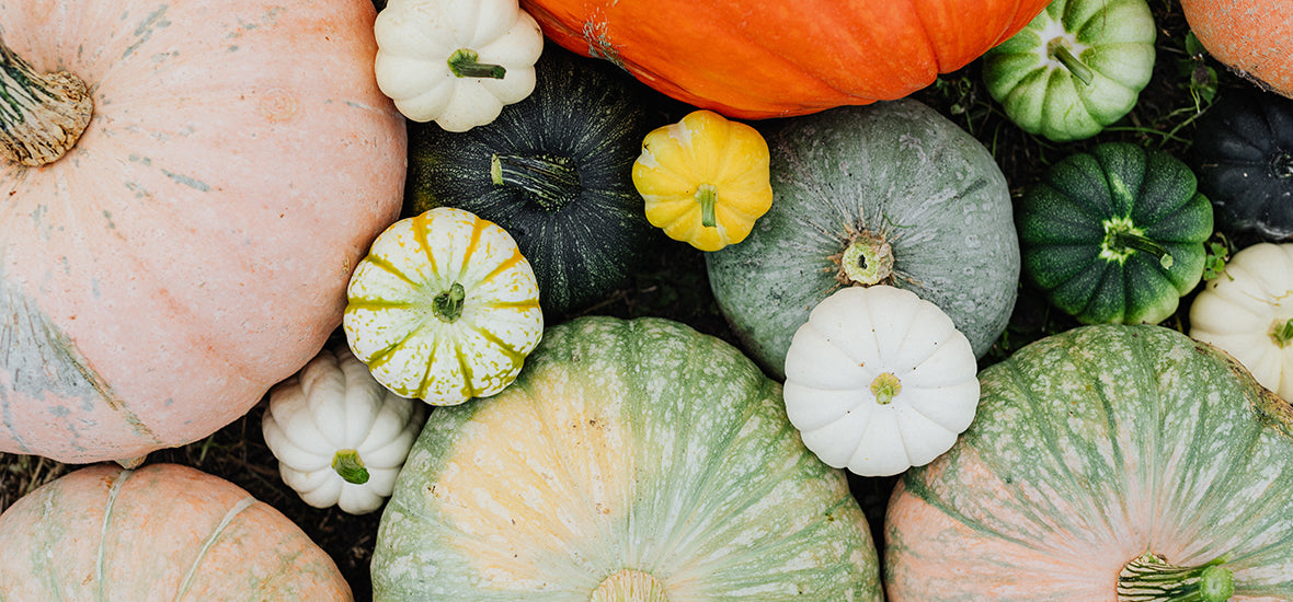 The Ultimate Autumn Superfoods List For 2024